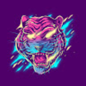 Meet your Posher, Paddi